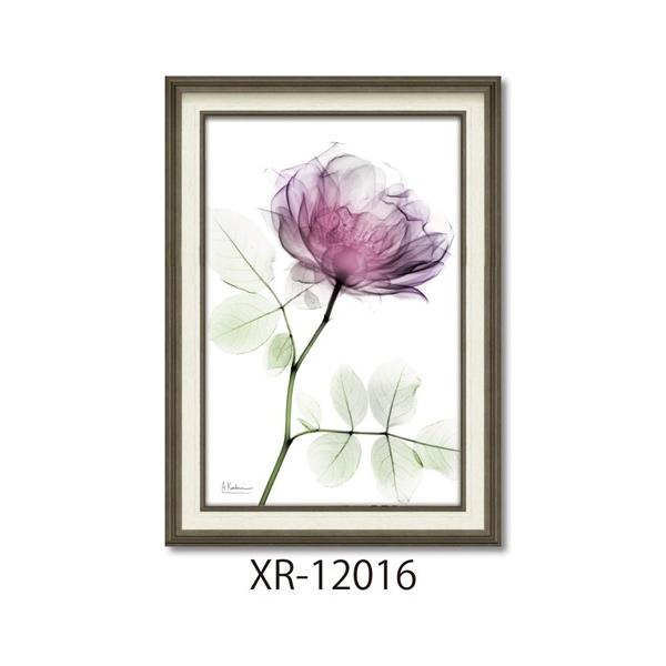 t[A[g X RAYLoXA[g Eh[Y MTCY Ao[gN[cB[ [p[ XR-12016