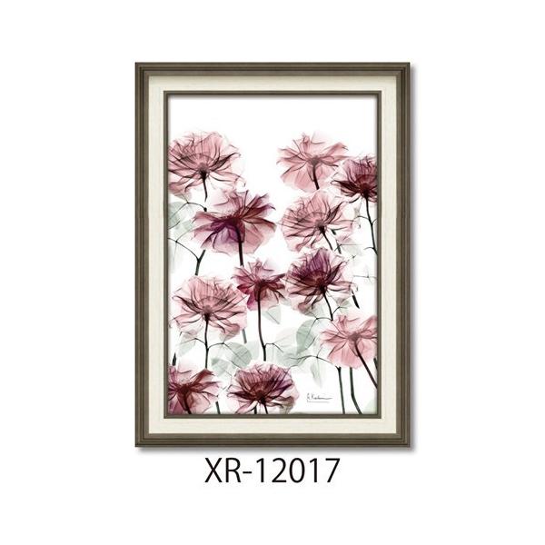 t[A[g X RAYLoXA[g Ao[gN[cB[ t[xbh MTCY [p[