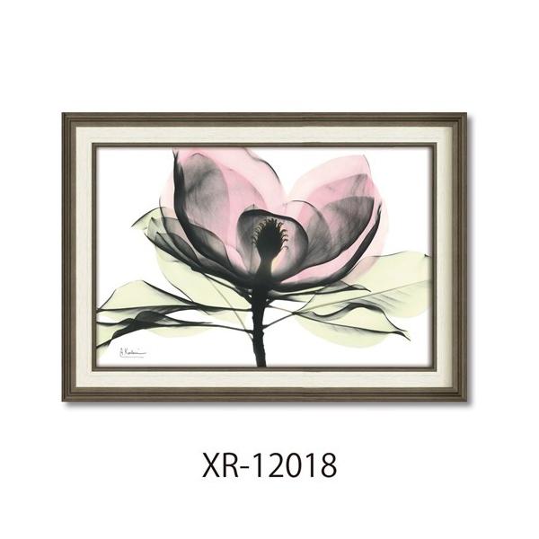 t[A[g X RAYLoXA[g Ao[gN[cB[ sN}OmA MTCY [p[