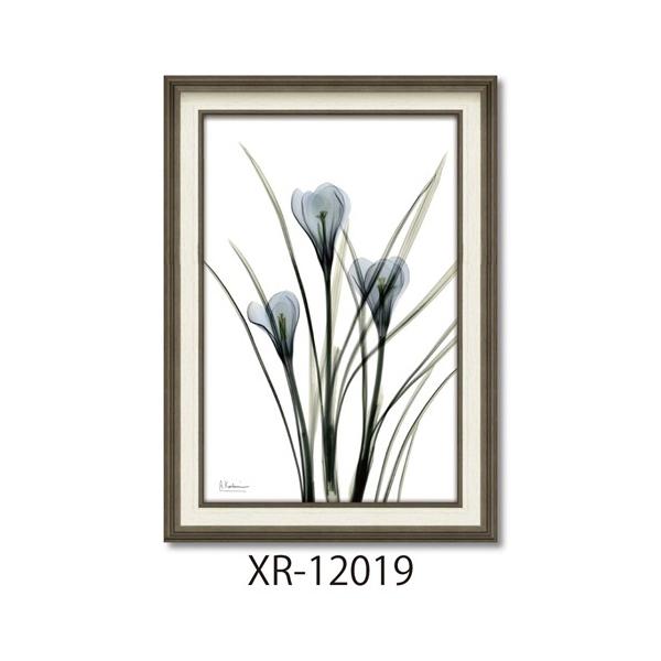 t[A[g X RAYLoXA[g Ao[gN[cB[ NbJX MTCY [p[ XR-12019