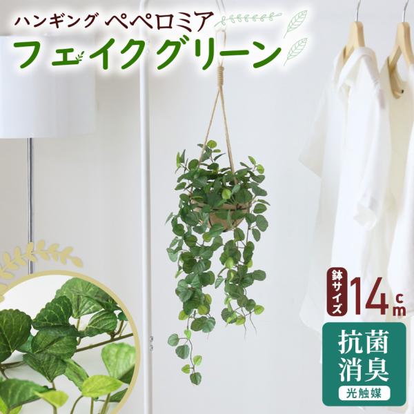 DORIS（ドリス） 人工観葉植物 光触媒 水やり不要 インテリアグリーン