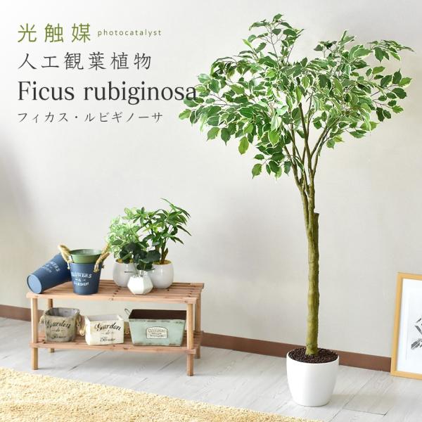 DORIS（ドリス） 人工植物 観葉植物 光触媒 造花 植物 フェイク
