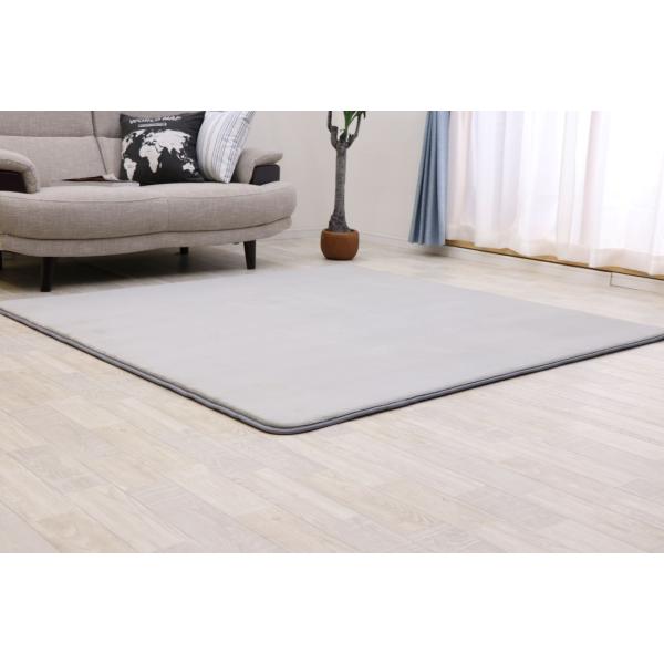ラグ カーペット 抗菌 防ダニ 高反発 極厚25mm 200×250cm 厚手 撥水 滑り止め ラグマット 3畳 ホットカーペット対応 リビング 高反 ドリス