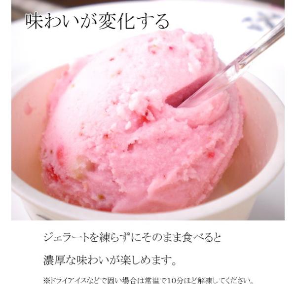 抹茶よもぎ カップジェラート1個 京都老舗のジェラートショップのこだわりが生み出す密度が高い濃密アイス Buyee Buyee Japanese Proxy Service Buy From Japan Bot Online