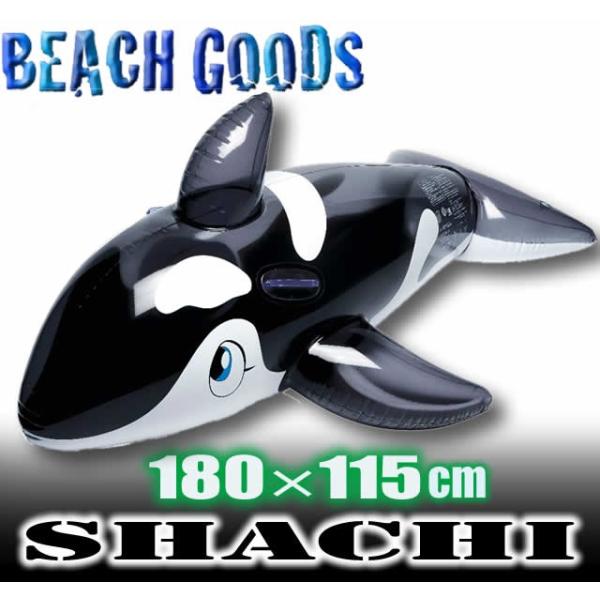 シャチフロート 180cm】ビーチグッズ 浮き輪 フロート : VENICE STORE