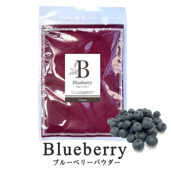 ブルーベリーパウダー 90g 着色料 保存料 無添加 フルーツパウダー お菓子用 ドライ 製菓用 果汁パウダー 菓子 食品 ペット用 犬 猫 ヴィーナース