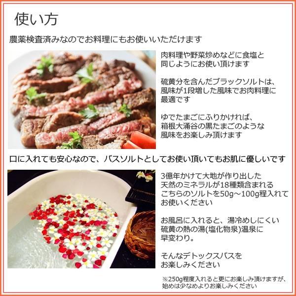 ブラックソルト 900g 岩塩粉末 パウダーソルト ルビーソルト 食塩 バスソルト兼用 送料無料 Buyee Buyee 提供一站式最全面最专业现地yahoo Japan拍卖代bid代拍代购服务 Bot Online