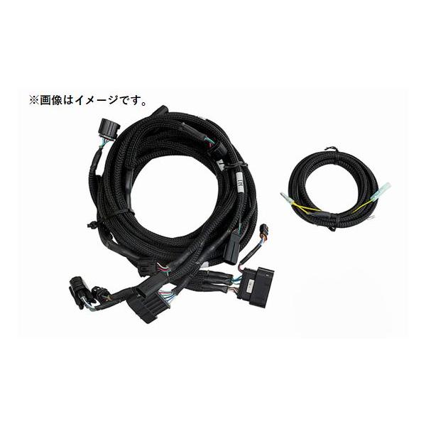 HKS（エッチケーエス） 個人宅発送可能 HKS Power Editor R HARNESS TR