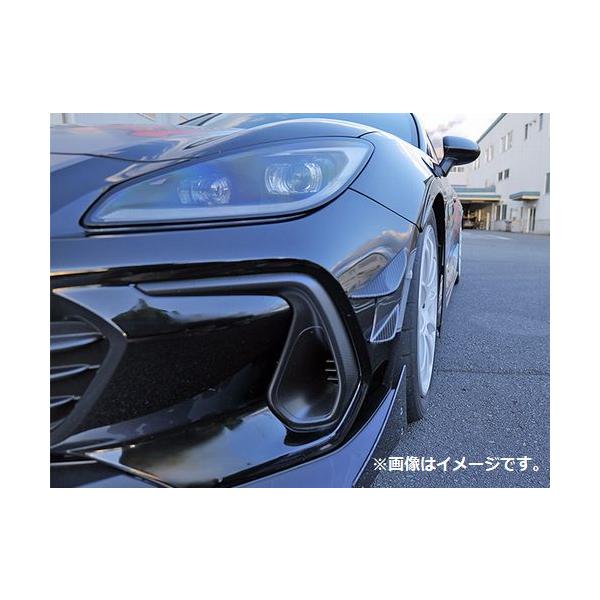 HKS（エッチケーエス） 個人宅発送可能 HKS Fender Molding フェンダー