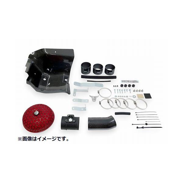 HKS（エッチケーエス） 自動車関連業者直送限定 HKS CARBON RACING