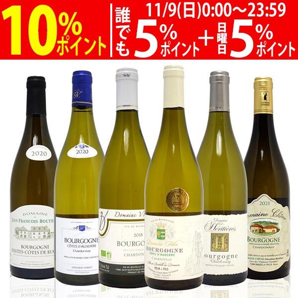 ブルゴーニュ 白ワイン 2019 2本セット オリヴィエ・ルフレーヴ他 オリヴィエ ルフレーヴ ムルソーの通信販売