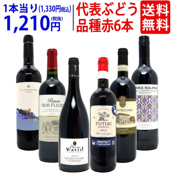 ワイン ワインセット 代表ぶどう品種赤6本セット 送料無料 飲み比べ