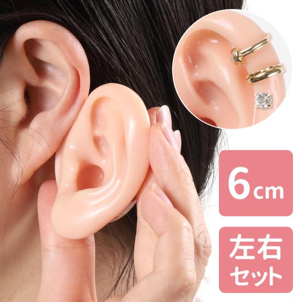 [Release date: January 6, 2026]左右ワンセット右耳・左耳がペアになっているため、両耳のディスプレイや比較練習にも便利です。やわらかいシリコン素材人間の耳に柔らかな質感を再現。自然な見た目と手触りです。また、丸洗...