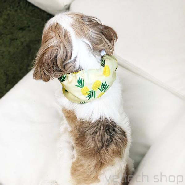 メール便は送料無料 保冷剤付 全5種類クールスヌード ひんやり クールネック 保冷剤バンダナ 熱中症対策 ネッククーラー 首元クール 犬 お散歩 Buyee Buyee Japanese Proxy Service Buy From Japan Bot Online