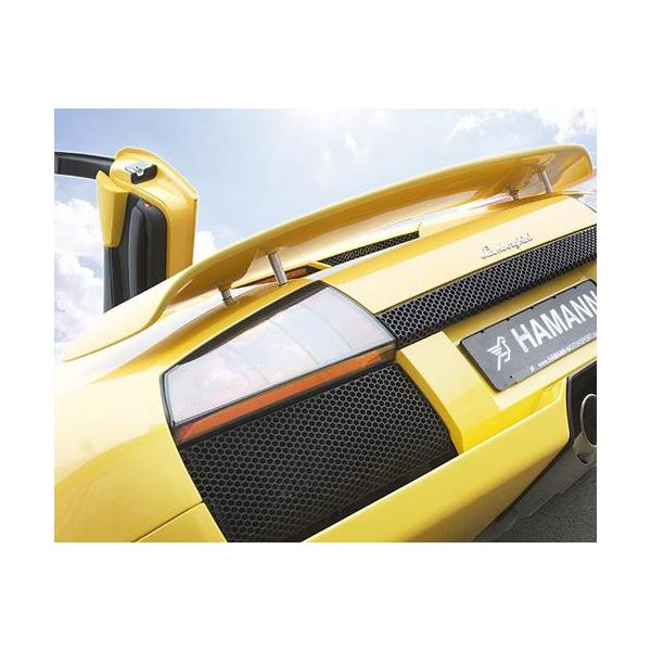 HAMANN {M[j VGS LP640 AECO t@Co[