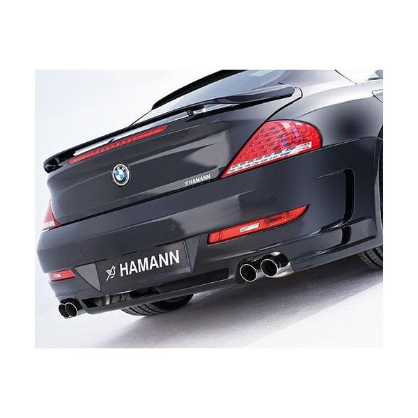 HAMANN BMW 6V[Y E63 Aop[X|C[