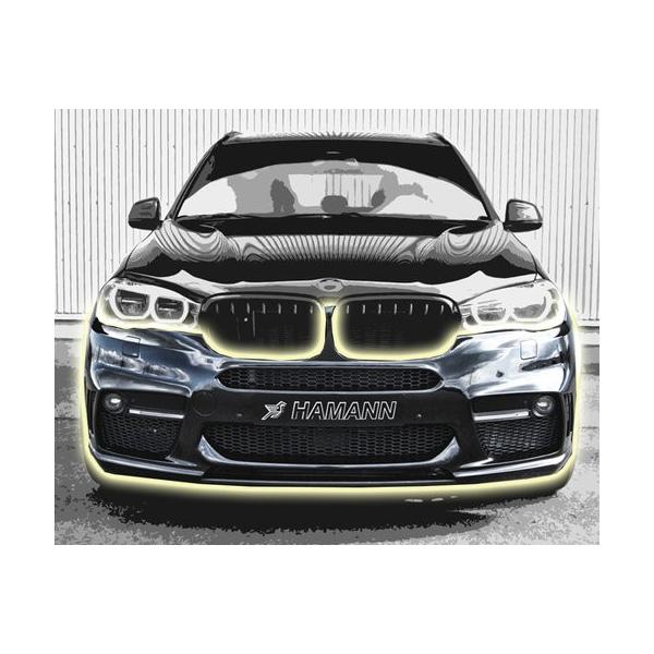 HAMANN ハーマン BMW X5 F15 フロントバンパースポイラー