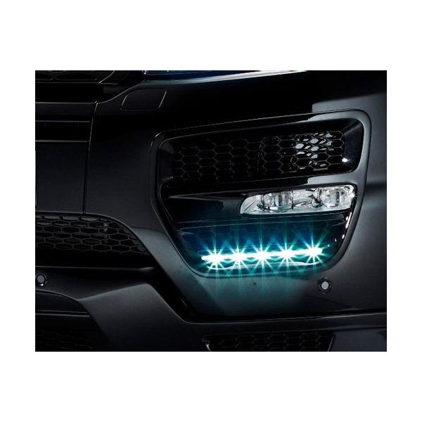 HAMANN W[o[CH[N tgGA_NgJo[