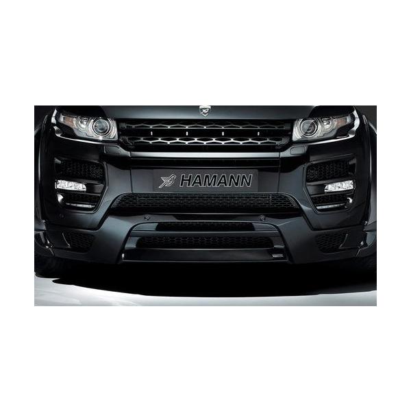 HAMANN W[o[CH[N tgX|C[ 2Pcs