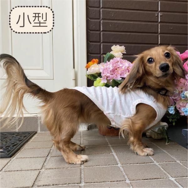  VERY Webvg ^Ngbv t H~ ^ _bNX    ybgEFA ybg ^Ngbv X^[ 