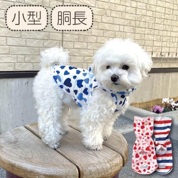 犬服 VERY ストレッチ夏 春 夏服 小型犬 胴長 ダックス おしゃれ カッパ 雨具 袖なし 2024SS