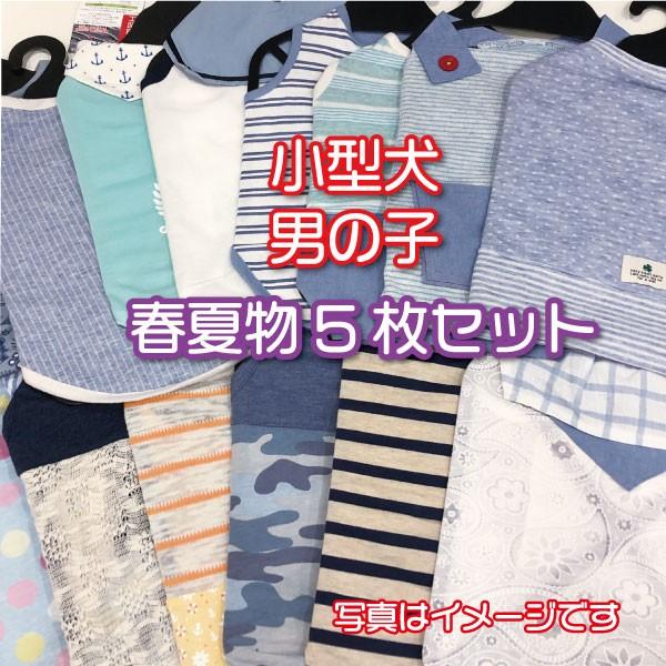 犬 服 Very 小型犬 Web限定 春夏服5枚セット2 000円 男の子カラー 色 柄は選べません 特価 在庫限り ドッグウェア 5setm Very Pet ヤフーショップ 通販 Yahoo ショッピング