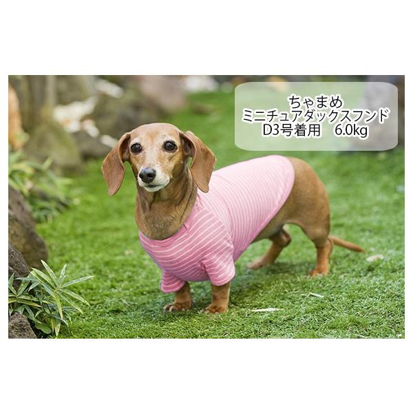 犬 服 Very 小型犬 コットンtシャツ 綿100 1号 2号 3号 4号 5号 D3号 D4号 ドッグウェア Buyee Buyee Japanese Proxy Service Buy From Japan Bot Online