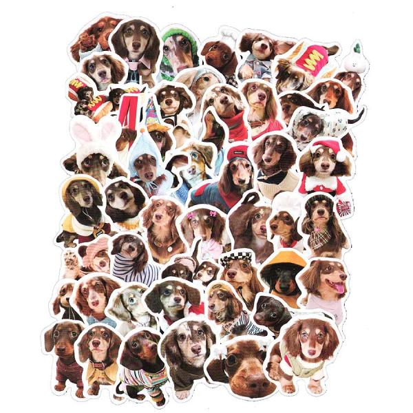 メール便送料無料♪１０００円ぽっきり・お得セット★たっぷり５０枚セット♪ダックスフンドのかわいいイラスト仕上げのステッカーです★色々な柄のダックスちゃんがポップでかわいいですよね♪★詳しくは商品説明欄をご覧ください。ダックスフンド 雑貨 ス...