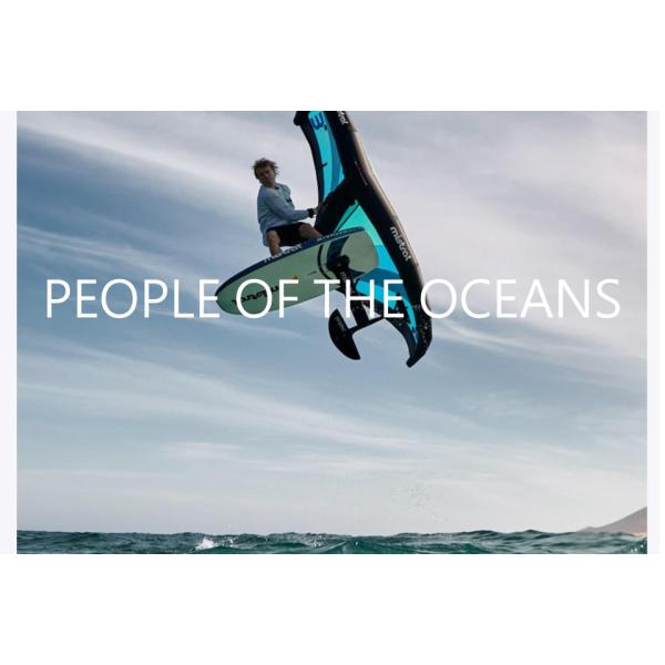 MISTRAL SKY WAVE air 5'4 SKY JIBE 5.0M2 SABLE 1700 �R���v���[�g�Z�b�g �~�X�g���� �E�C���O�T�[�t�B�� �E�C���O�{�[�h �E�C���O�t�H�C�� �n�C�h���t�H�C�� ���i�摜5
