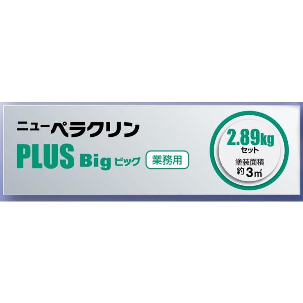 j[yNZbgPLUS Big 2.89kgZbg eiX