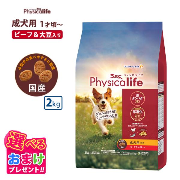他サイト： おまけ付き フィジカライフ Physicalife 成犬用 ビーフ＆大豆入り 2kg 2キロ ドッグフード 犬 イヌ 成犬 ペット 健康 無着色 無香料 無添加 総合栄養食の商品画像