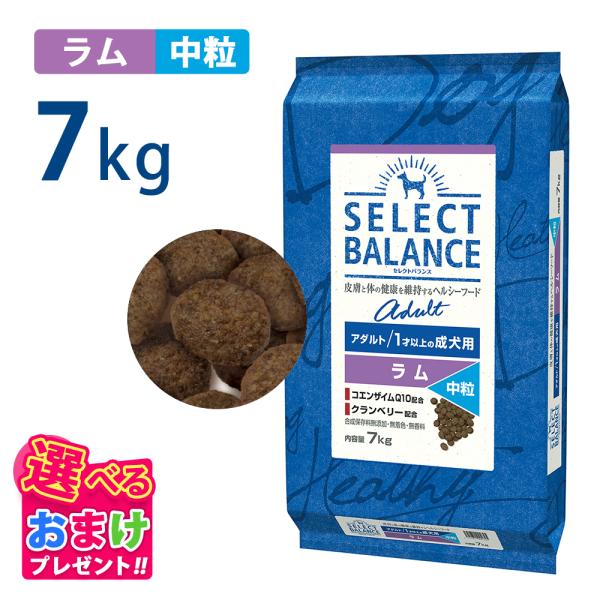 SELECT BALANCE セレクトバランス アダルト ラム 中粒 7kg 7キロ 成犬