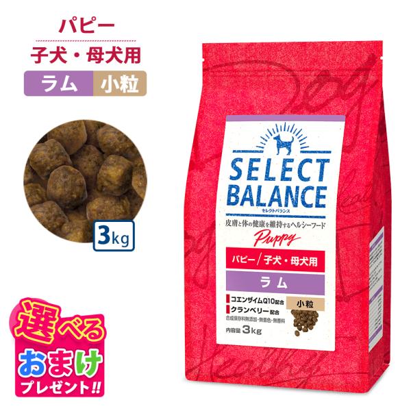 他サイト： おまけ付き セレクトバランス パピー ラム 小粒 3kg 子犬 母犬用 ドッグフード 犬 イヌ 成犬 ペット 健康 無着色 無香料 無添加 総合栄養食の商品画像