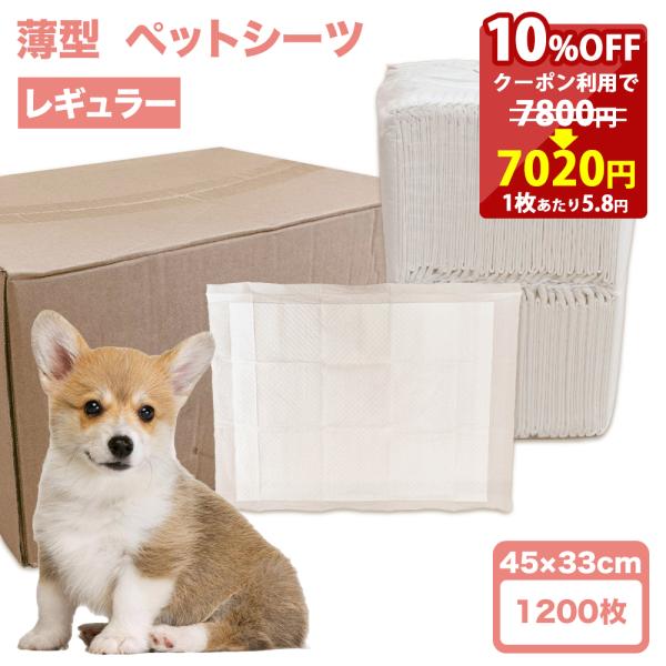 おまけ対象外 お得 ペットシーツ 薄型 レギュラー サイズ ペット 犬 猫