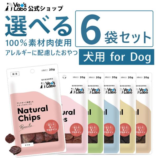 犬 グレインフリー おやつ 無添加 NEW ナチュラルチップス 選べる6袋セット Vet's Labo 公式 ベッツラボ 国産 単一タンパク 送料無料 メール便