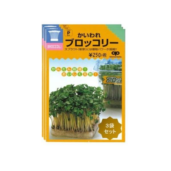種 ブロッコリースプラウト 種 40ml 3袋セット 郵便配送商品 Buyee Servicio De Proxy Japones Buyee Compra En Japon