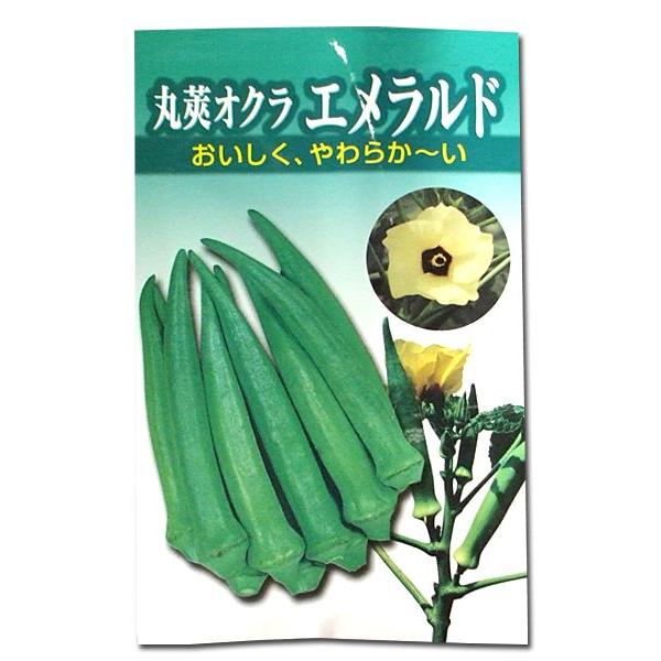 ؂̎/q@䰃INEGh@12ml@i[֔j