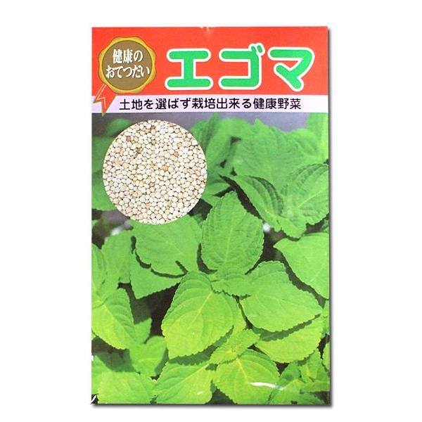 野菜の種/種子 エゴマ えごま （白） 20ml （メール便発送