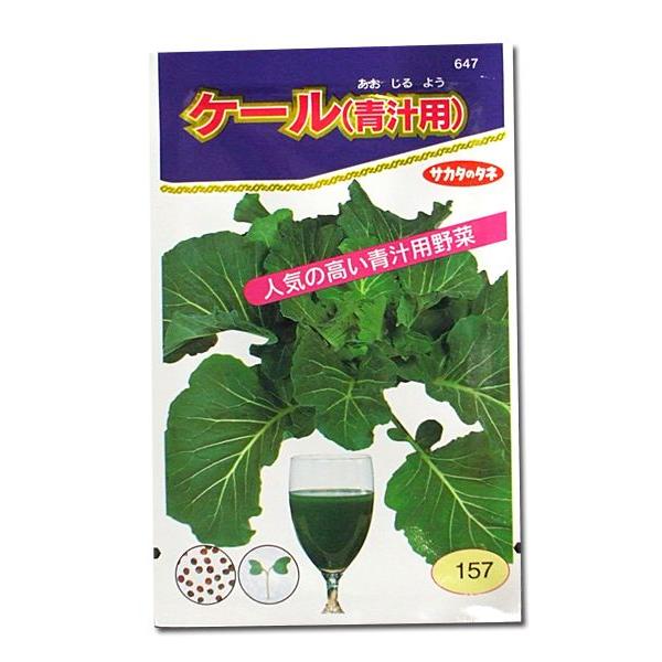 ؂̎/q P[E`p 5mli[֔jTJ^̃^l c