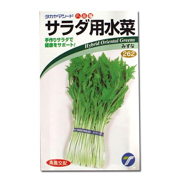 ؂̎/q@T_p ~Yi@݂ȁ@5ml@i[֔j