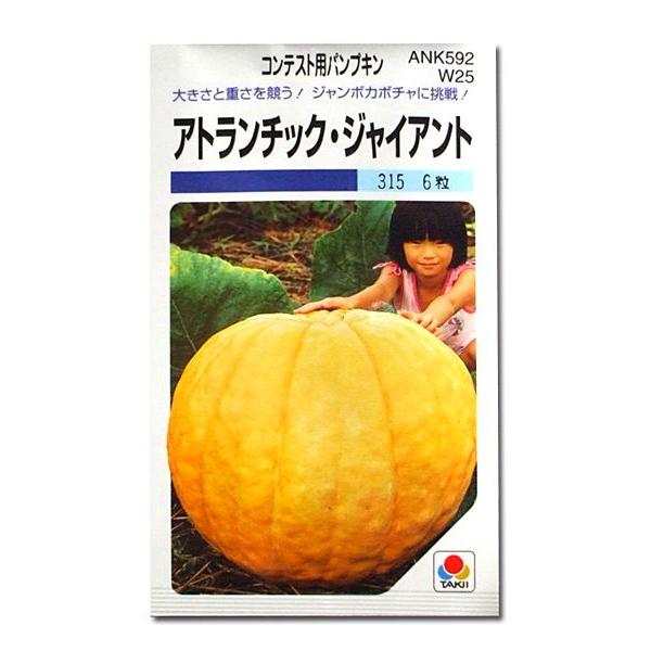 野菜の種/種子 アトランチック ジャイアント・コンテスト用パンプキン