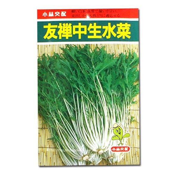 野菜の種 種子 友禅中生水菜 ミズナ メール便発送 Buyee Buyee 日本の通販商品 オークションの代理入札 代理購入