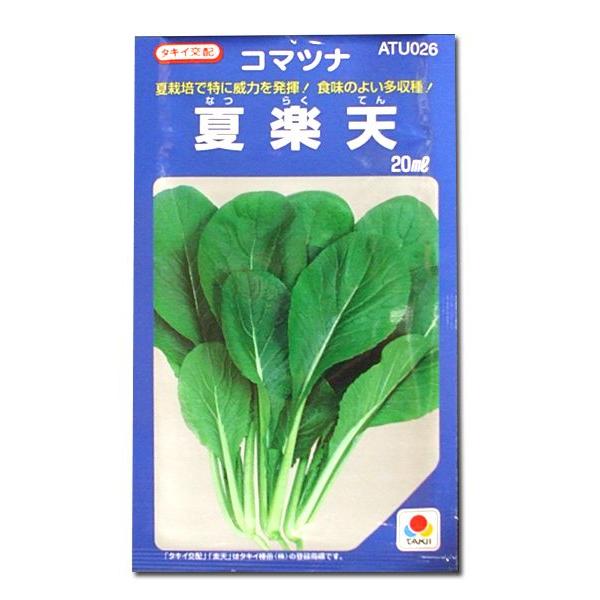 ؂̎/q ĊyVER}ci  ܂ 20mli[֔j^LCc