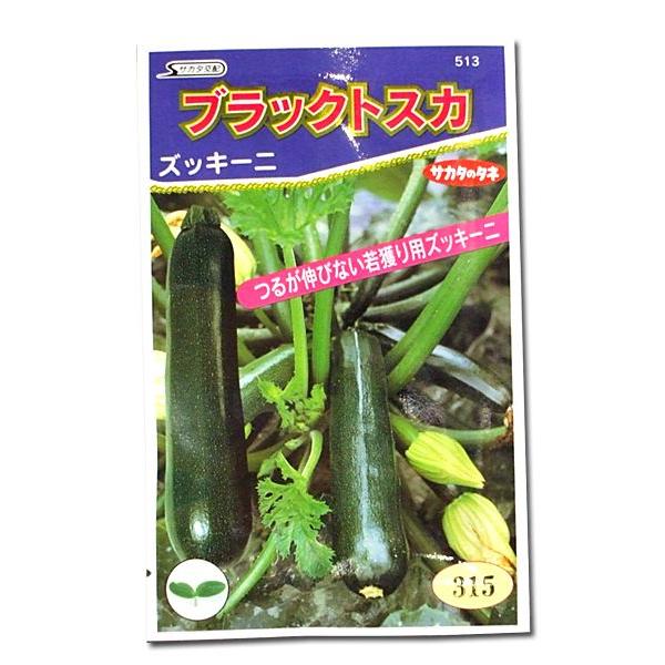 野菜の種/種子 ブラックトスカ・ズッキーニ 4.3ml（メール便発送
