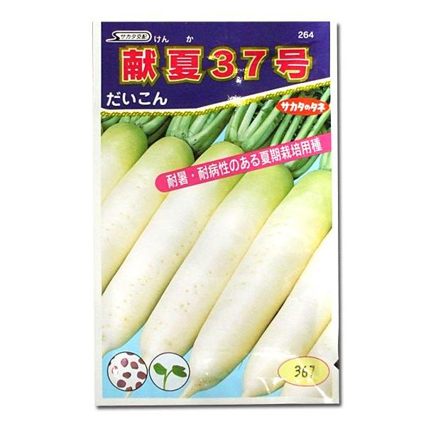 ؂̎/q 37E 5.5mli[֔jTJ^̃^l c