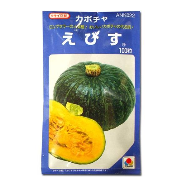 ؂̎/q тEJ{` 100i[֔/܁j^LCc