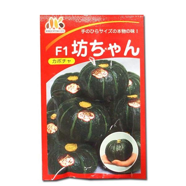 ؂̎/q@F1VEJ{`@100@i[֔/܁j