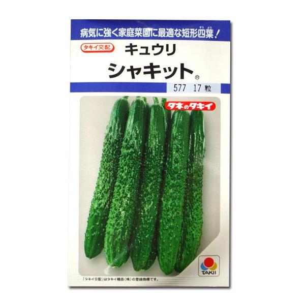 ؂̎/q VLbgELE 15i[֔j^LCc