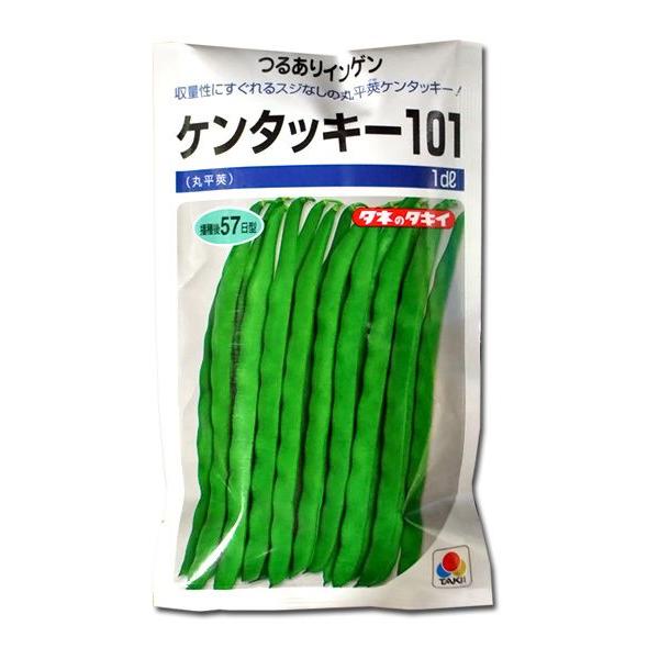 野菜の種 種子 ケンタッキー101 つるありいんげん 1dl メール便発送 タキイ種苗 Vg ベジタブルガーデン ハラダ 通販 Yahoo ショッピング