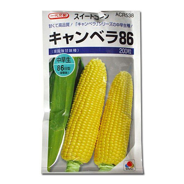 野菜の種 種子 キャンベラ86 とうもろこし 0粒 メール便発送 タキイ種苗 Vg ベジタブルガーデン ハラダ 通販 Yahoo ショッピング